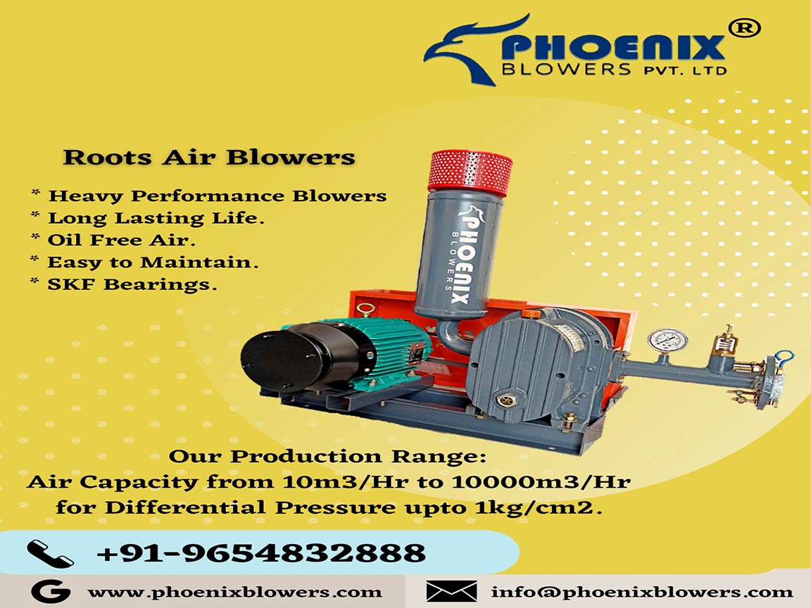 ring blower air pump