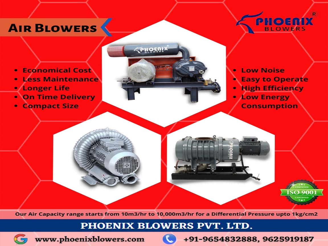  twin lobe air blower manufacturer in india
